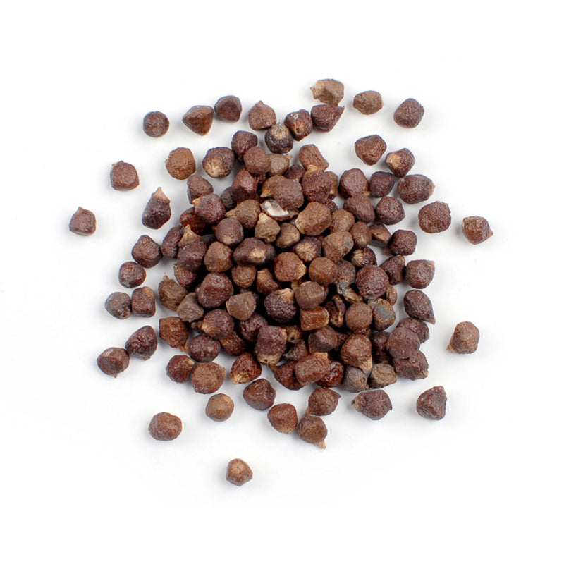 Grains of Paradise
