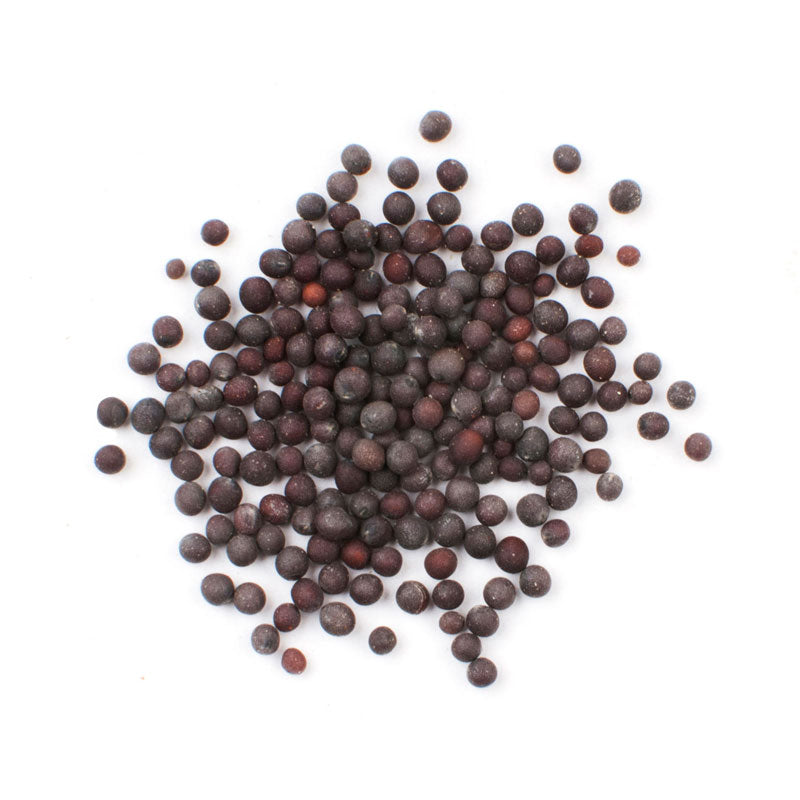 Black Mustard Seed
