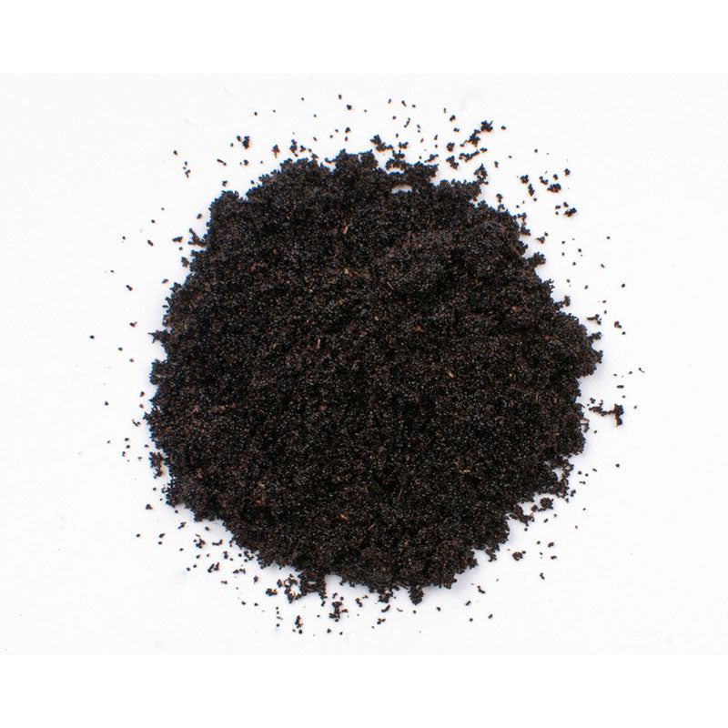 Vanilla Powder